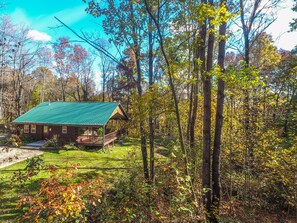 Exterior - Remote Forest Edge Cabin offering comfort, seclusion near Hocking Hills (Logan)