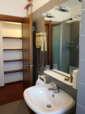 Bathroom features a sink, mirror, shower, and toiletries.