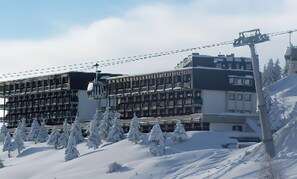 Situated in a winter wonderland, this hotel offers stunning views of snow-covered trees and easy access to ski slopes.