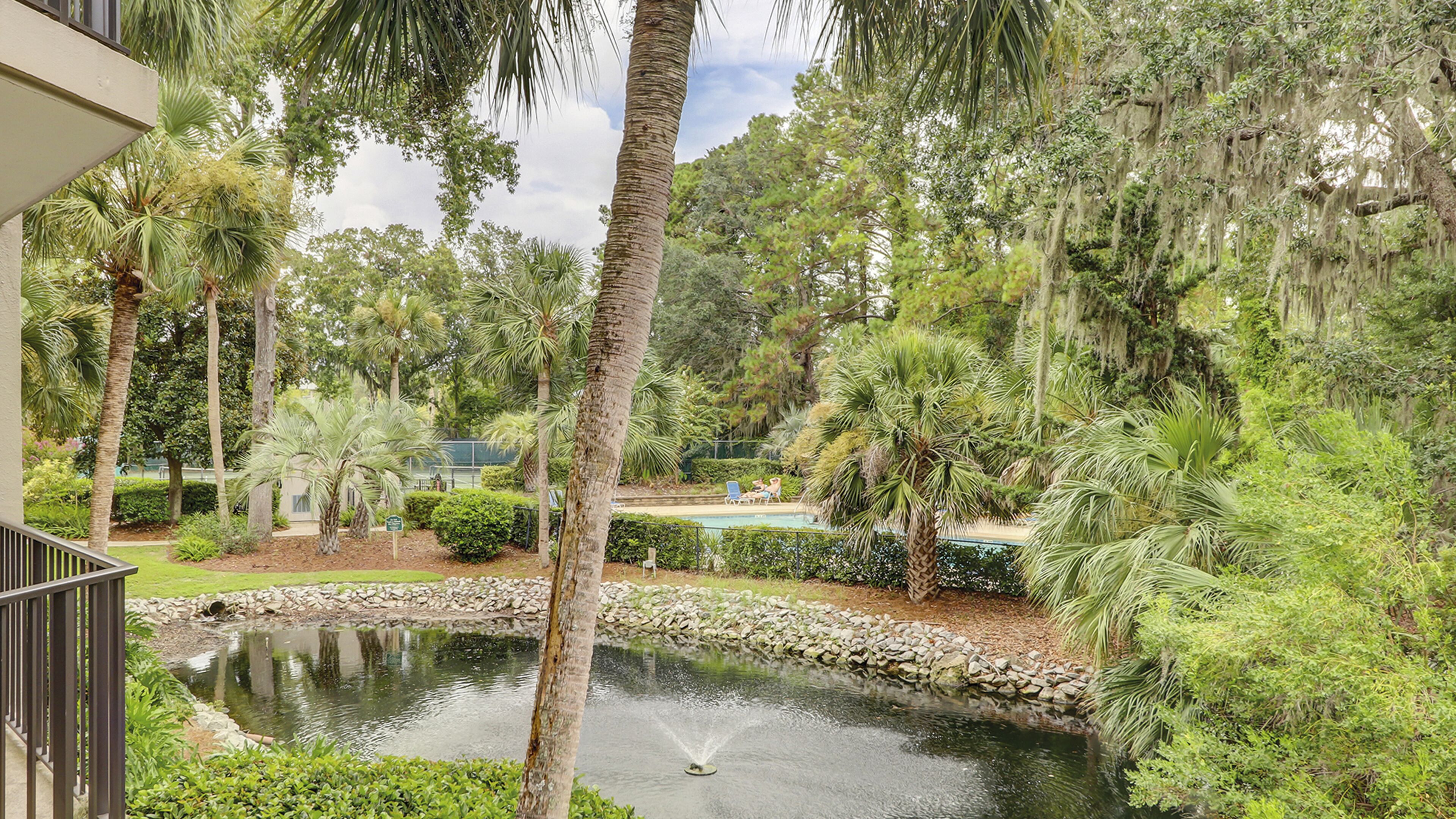 A serene outdoor area with a pond, surrounded by lush greenery and palm trees.