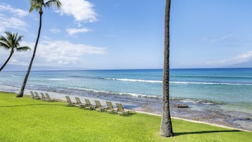 Condo, 2 Bedrooms | Beach | On the beach