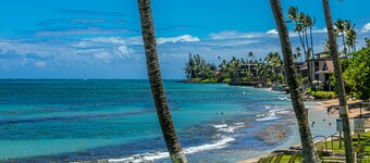 Paki Maui #103 2 Bedroom Condo by RedAwning