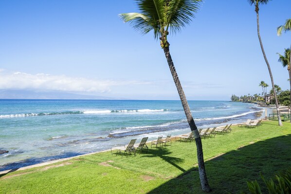 Condo, 2 Bedrooms | Beach | On the beach