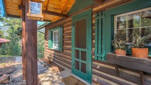 Una cabaña de troncos con un porche de madera, contraventanas verdes y plantas en macetas.