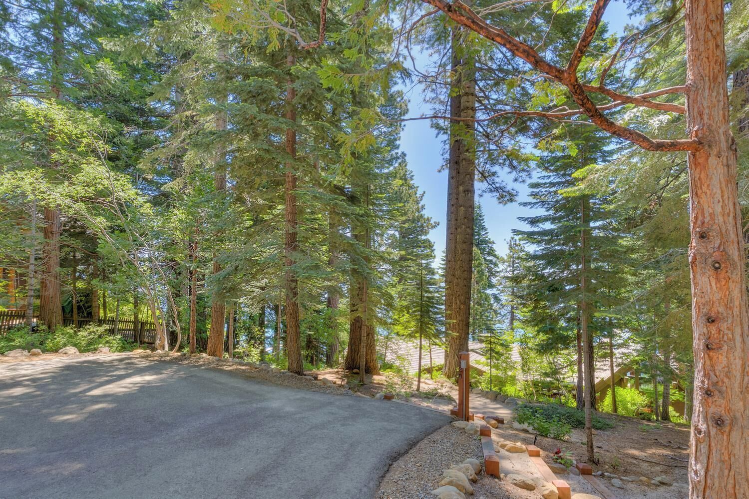 Metsäinen alue, jossa on päällystetty tie, korkeita puita ja puinen aita.