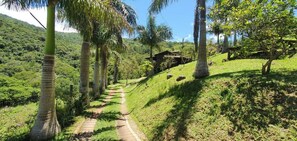 Property grounds - CasaVerde - Scherer Houses (Garopaba)