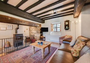 TV, fireplace, DVD player