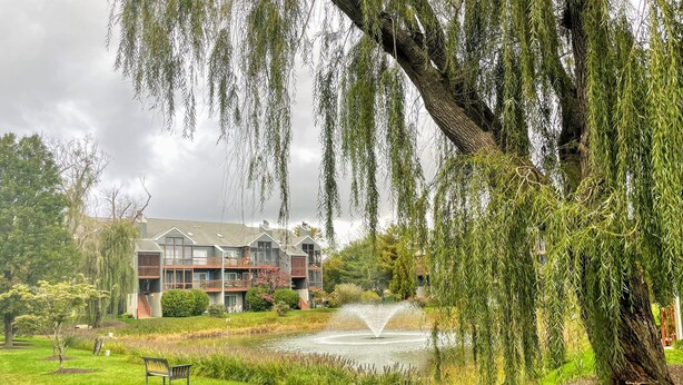Un hotel con una fuente de agua, abundante vegetación y un banco.