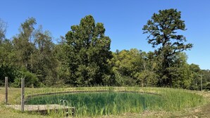 A pond surrounded by grass and trees, with a wooden fence and a wooden structure partially visible.