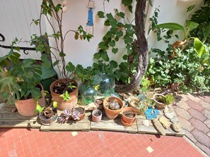 Plants and decorative accents adorn the garden patio.