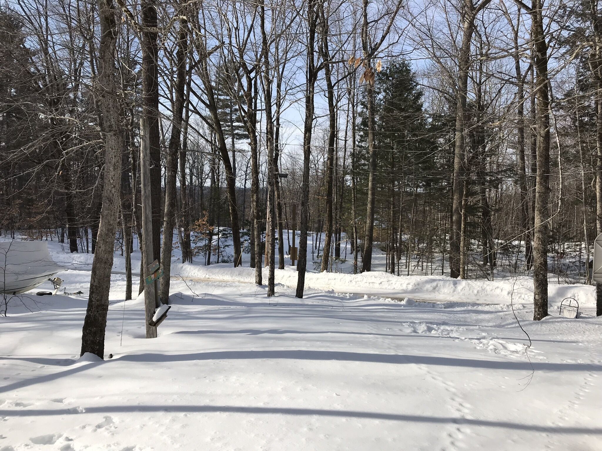 A snowy forest scene with a clear path, trees, and a bench.