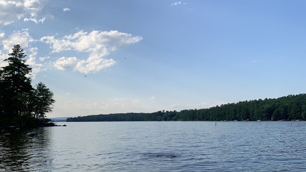 A beach with calm water, a sandy shore, and a forested area in the background. - Assoc beach, Lakes, Naples Causeway, restaurants, shops, boat- jet ski rentals. (Naples)