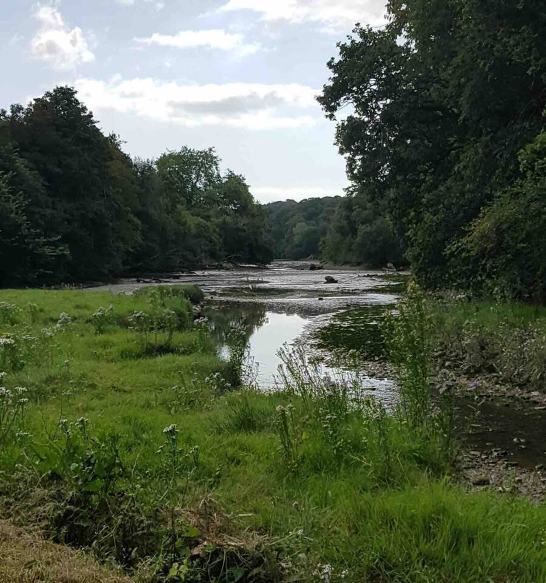 A natural landscape with a river, surrounded by dense greenery and trees.