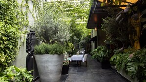 A narrow outdoor corridor with a table and chairs set up, surrounded by lush greenery and potted plants. - Casa Hedera (Mexico City)