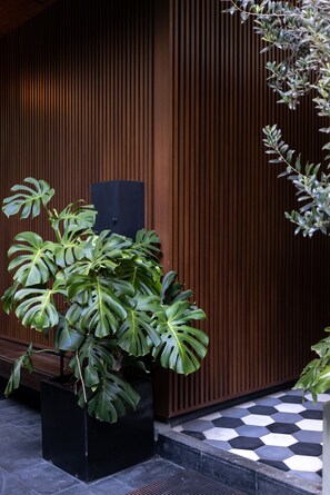 Exterior detail - Casa Hedera (Mexico City)