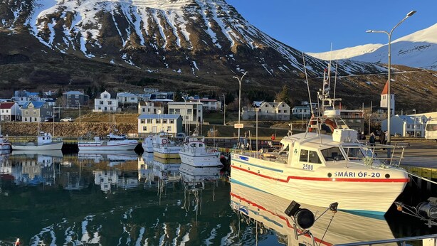 Un port avec des bateaux, une montagne en arrière-plan et des bâtiments le long de la côte.