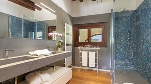Shower, hair dryer, bidet, towels