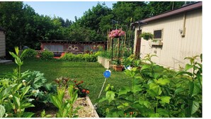 Un jardin avec différentes plantes et fleurs, un petit abri de jardin et une maison équipée d’un panneau solaire.