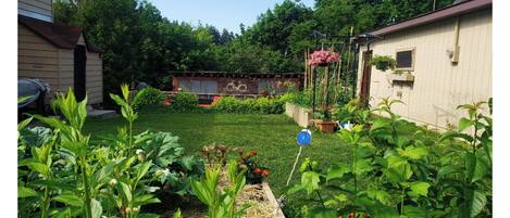 Área da propriedade