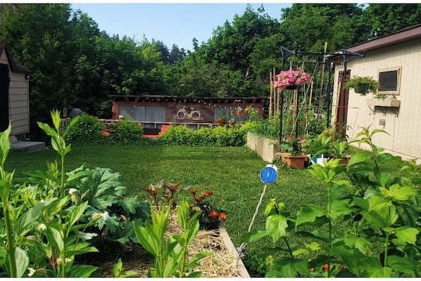 Jardines del alojamiento