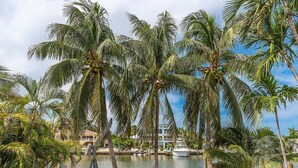 Un puerto deportivo con palmeras y un barco amarrado en el agua.