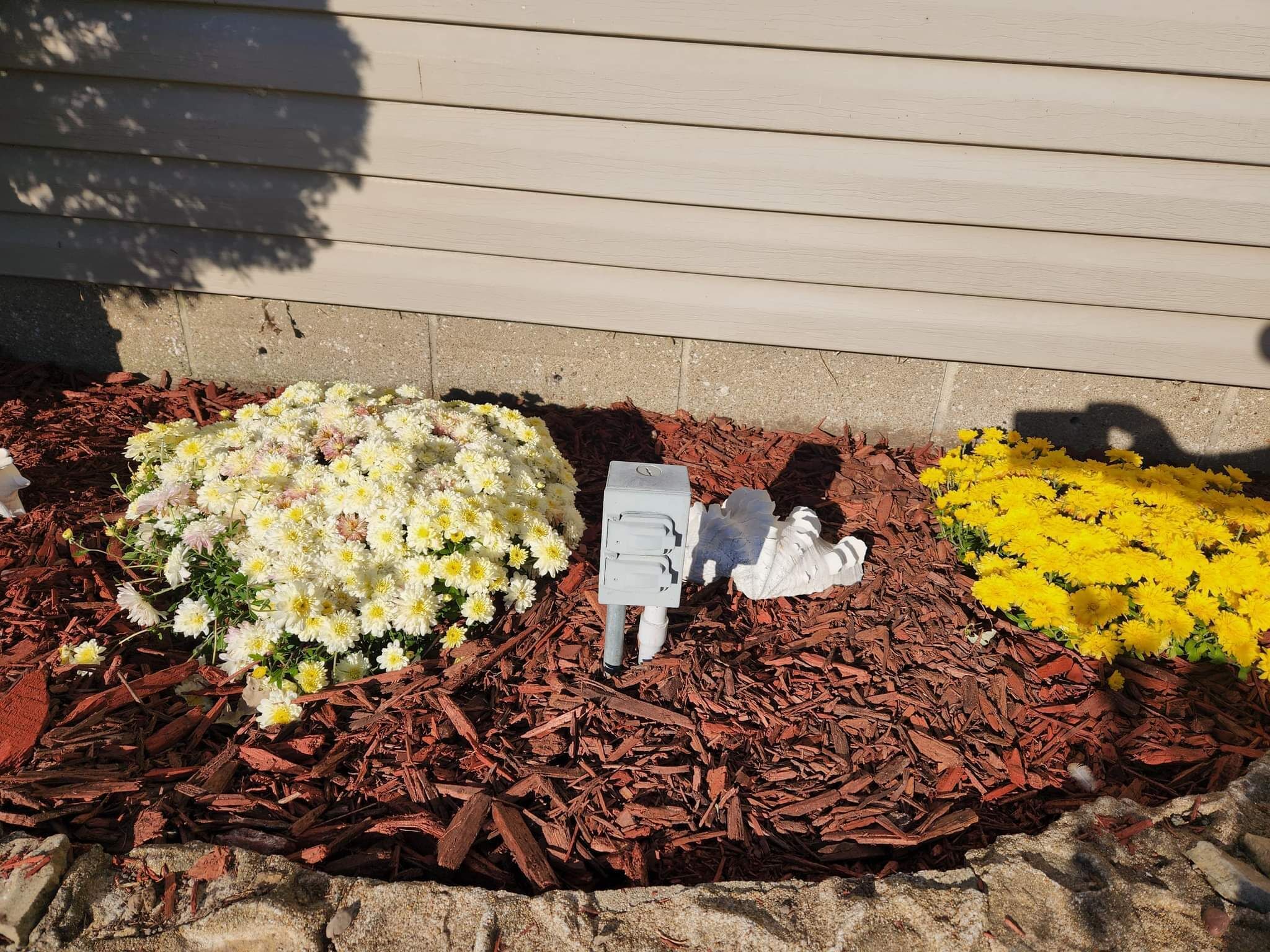 A garden bed with white and yellow flowers, a mailbox, and a stone wall.