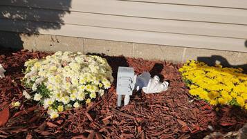 A garden bed with white and yellow flowers, a mailbox, and a stone wall.