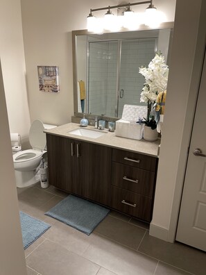 Combined shower/tub, hair dryer, towels, soap - LUXURY PALACE DOWNTOWN ATLANTA  (Atlanta)