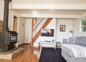 Smart TV, chimenea, reproductor de DVD y videoteca 