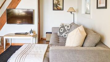 Smart TV, chimenea, reproductor de DVD y videoteca