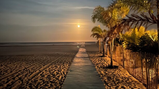 Een strandpad dat naar de oceaan leidt, met palmbomen en een hekwerk aan de zijkant.