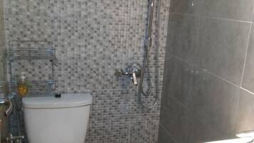 Shower, towels, toilet paper