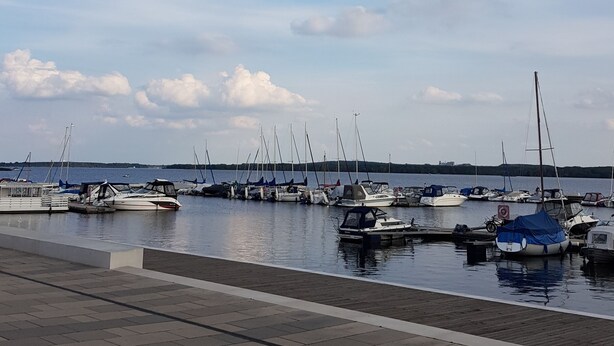 A marina with various boats docked, a clear sky, and a distant shoreline. - Apartment Fuchsbau (Senftenberg)