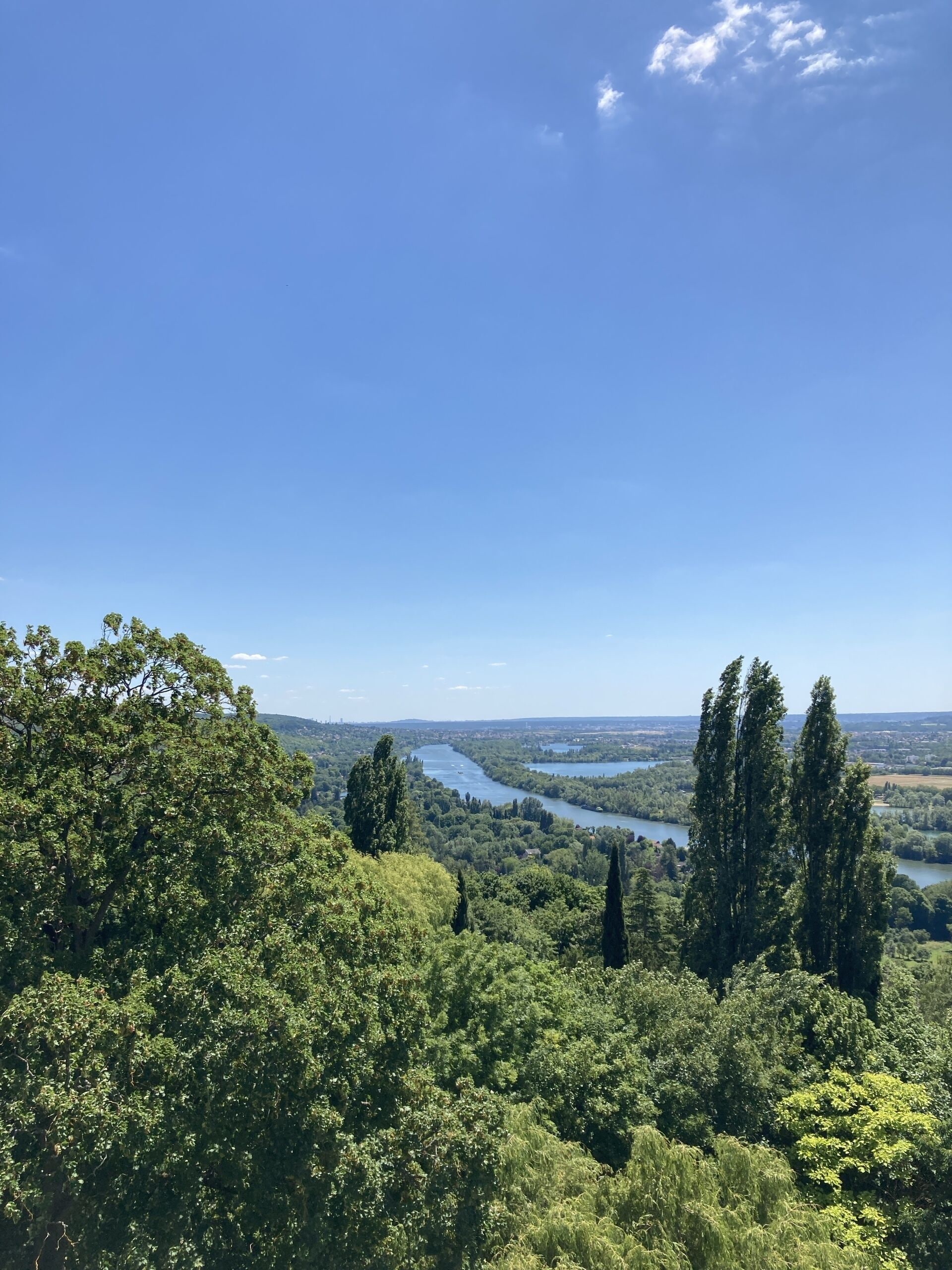 Un paysage verdoyant et luxuriant, avec une rivière et des arbres, sous un ciel bleu dégagé.