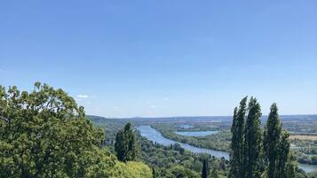 Un paysage verdoyant et luxuriant, avec une rivière et des arbres, sous un ciel bleu dégagé.
