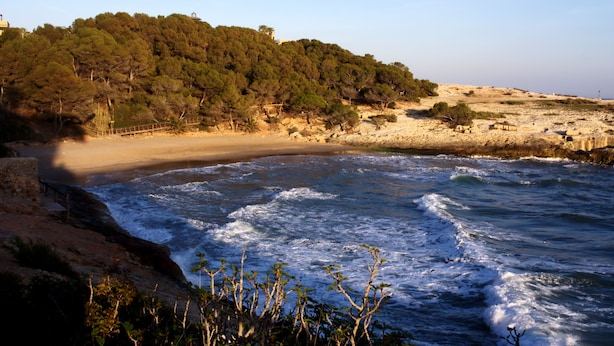 Un paysage côtier comprenant une plage, une côte rocheuse et une colline boisée.