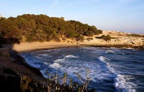 A coastal landscape with a beach, rocky shoreline, and a forested hill.