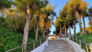 Una scalinata in pietra con ringhiere in metallo, immersa tra alberi e vegetazione.