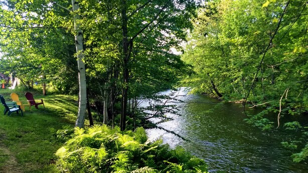 A serene riverside setting with lush greenery and a calm water body. - White Mountains Victorian on Main Street (Gorham)