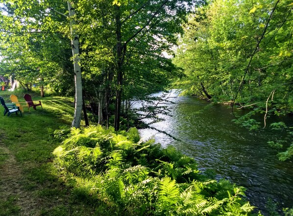 Property grounds - White Mountains Victorian on Main Street (Gorham)