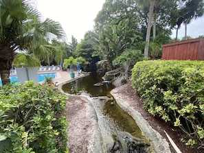 Piscine chauffée