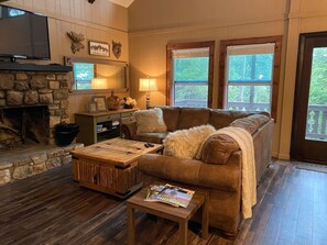 TV, fireplace