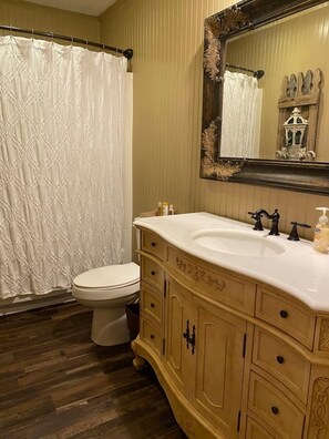 Combined shower/tub, hair dryer, towels