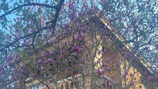 Ein zweistöckiges Backsteinhhaus mit Veranda, Stufen und einem schwarzen Geländer.