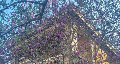 Historic Flat - 2 minutes from Cincinnati