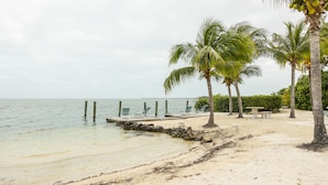 Een strand met helder water, palmbomen en een houten pier met stoelen.