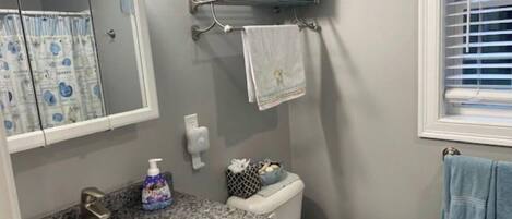 シャワー付き浴槽