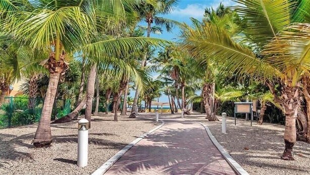 Een pad omzoomd met palmbomen dat naar een strand leidt.