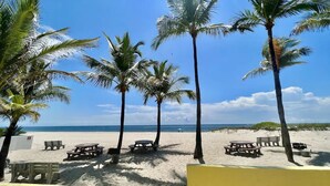 Een strand met palmbomen, picknicktafels en een helder uitzicht op de oceaan.