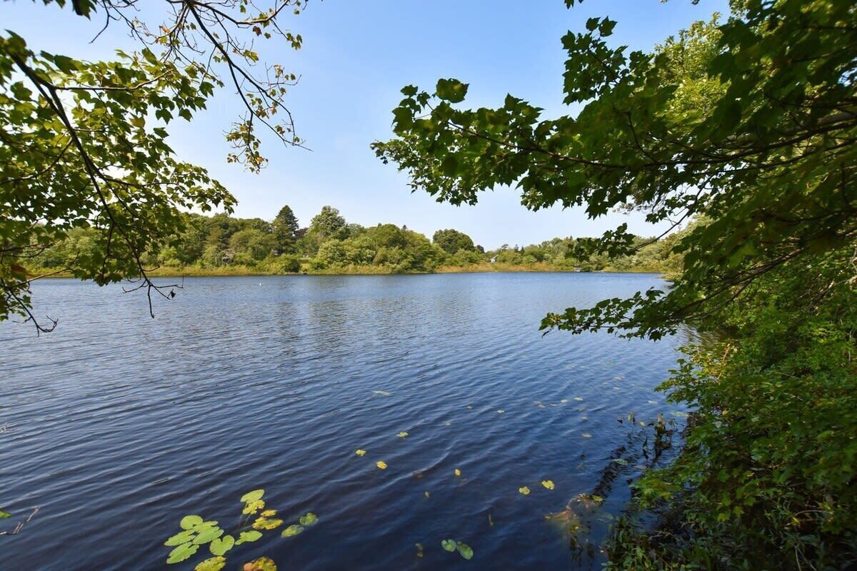 A calm lake surrounded by dense greenery.